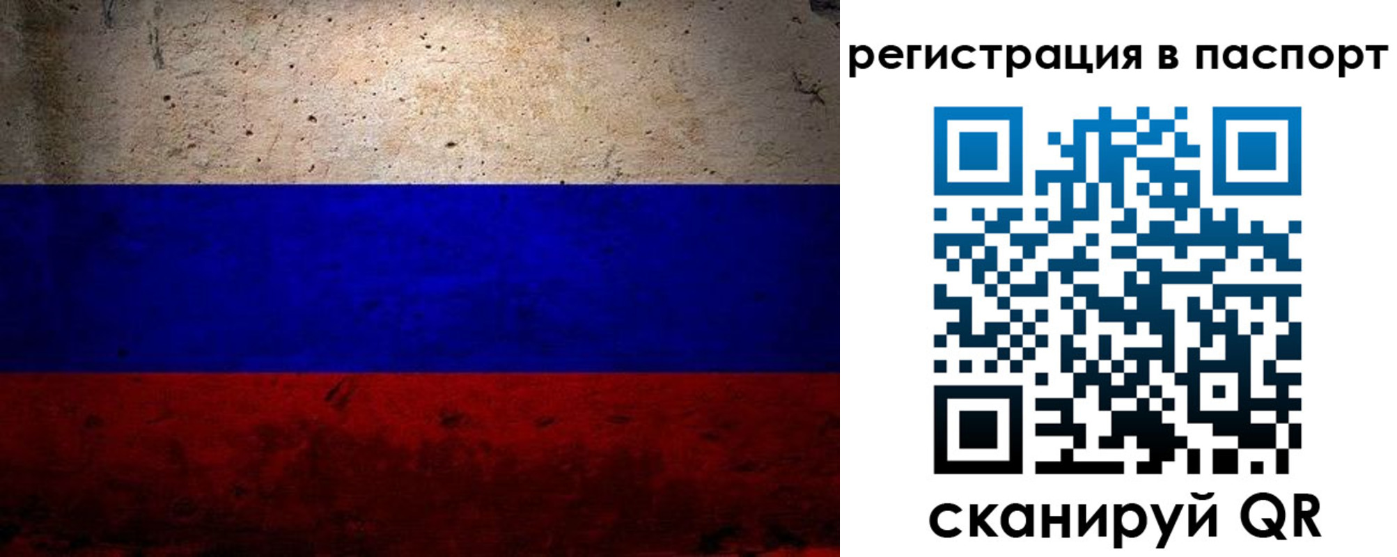 купить прописку в Коле