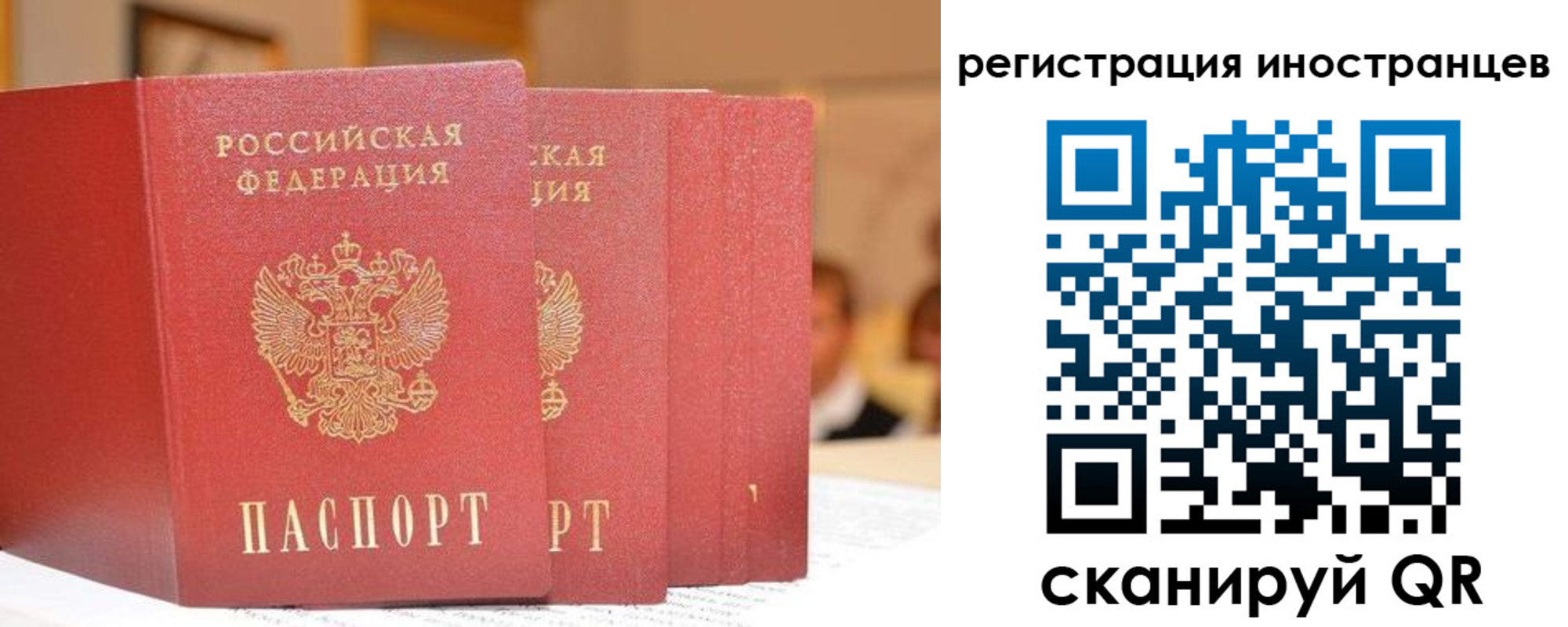 где прописаться в Коле